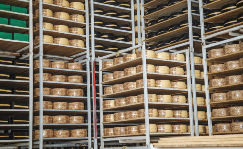 Белослава - лучшие сыры оптом с Брянской земли!